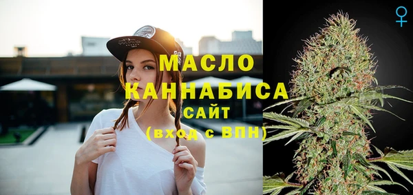 твердый Арсеньев