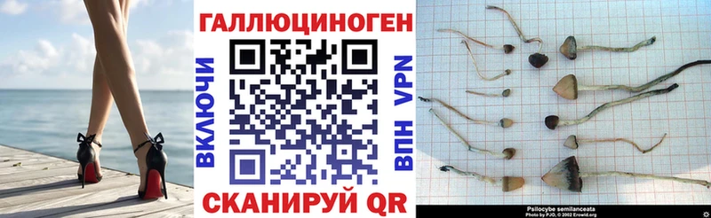 Галлюциногенные грибы Psilocybe  hydra как зайти  Нолинск  как найти закладки 